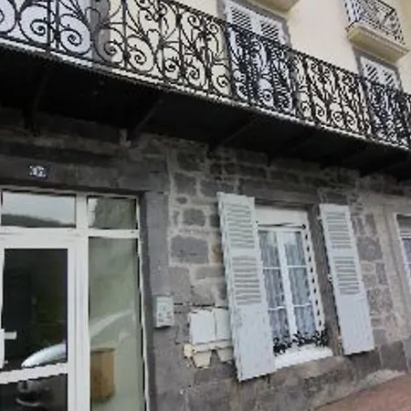 2 Pieces Au Mont-dore, 300m Des Thermes, Rez-de-chaussee, Classe 2 Etoiles - Fr-1-608-112